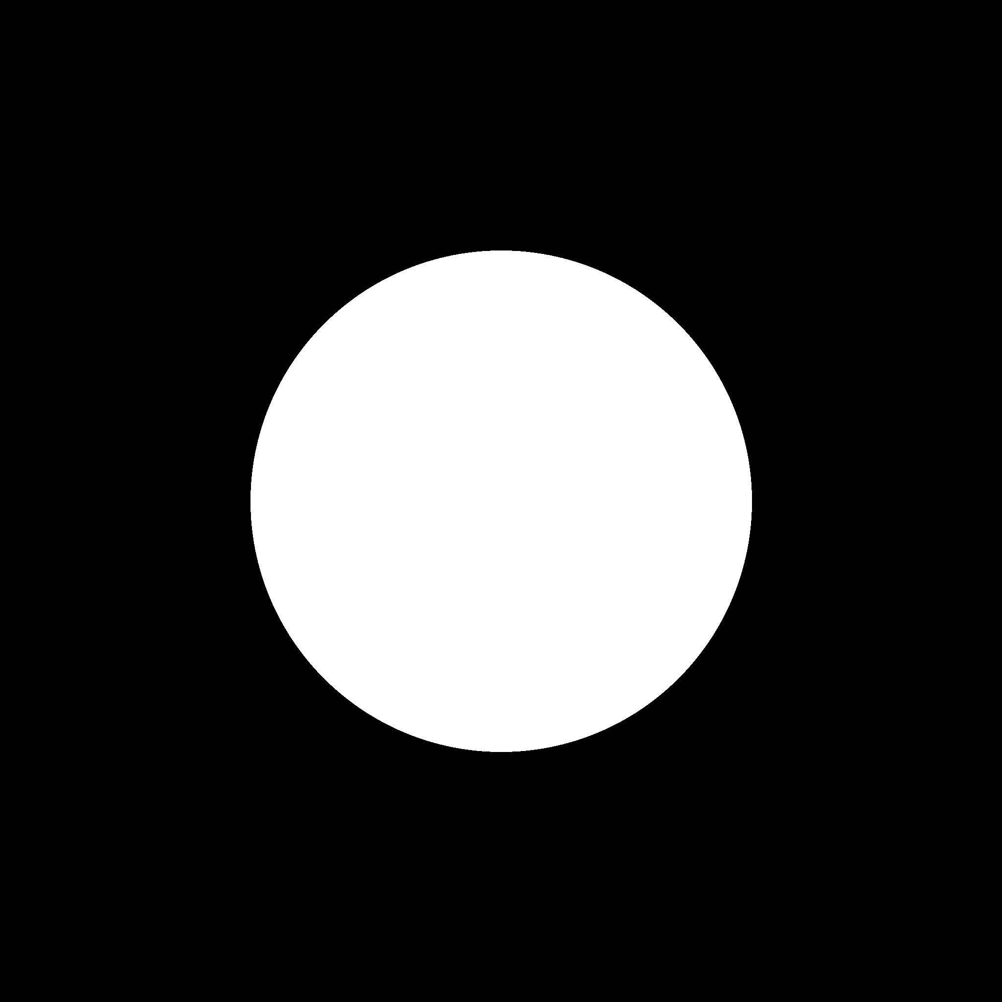 A white disk on a black background