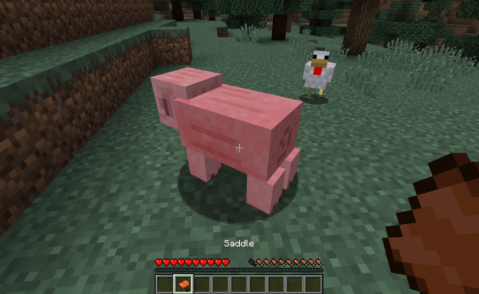 Desaddling a pig