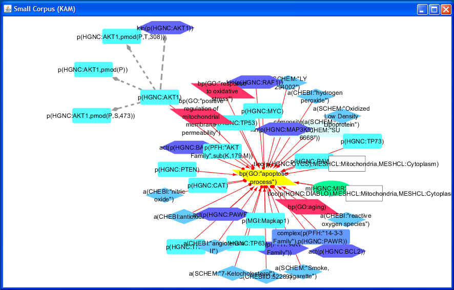 Figure - Resulting Network