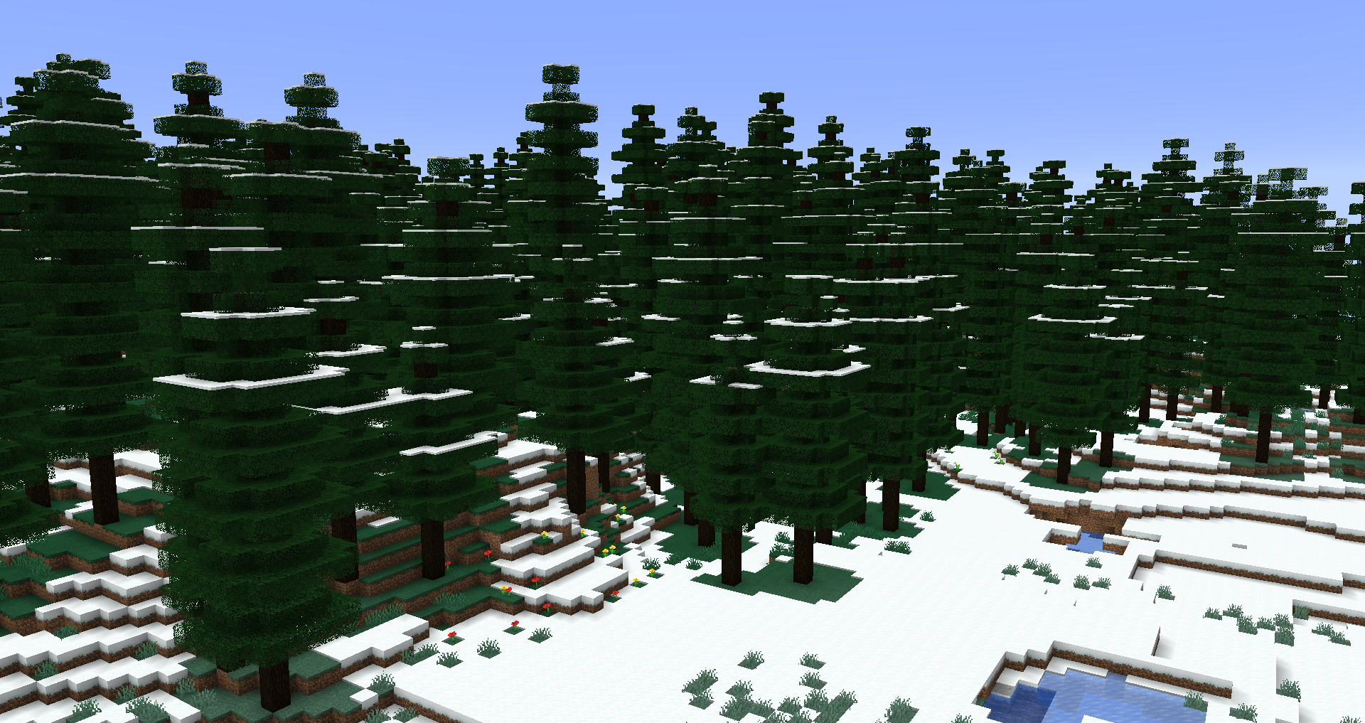 Snowy Coniferous Forest 2