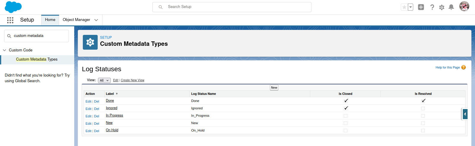 Log Status Custom Metadata Type