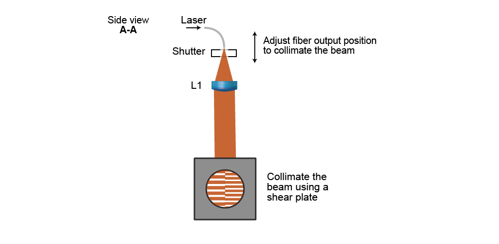 Excitation path