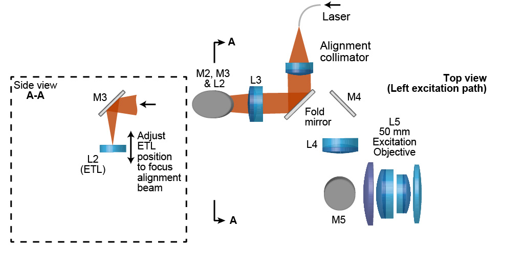 Excitation path