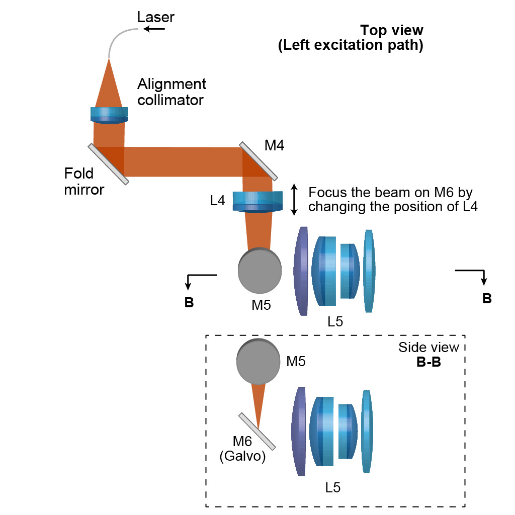 Excitation path