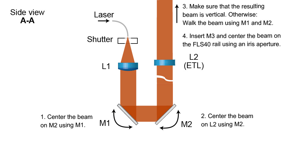 Excitation path