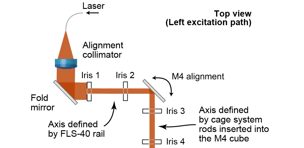 Excitation path